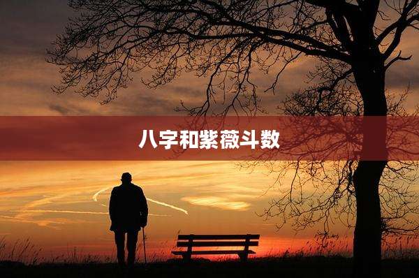 八字和紫薇斗数
