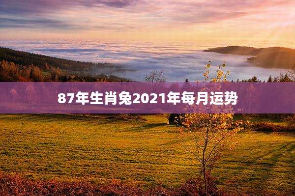 87年生肖兔2021年每月运势