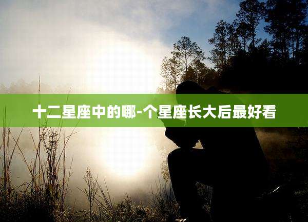 十二星座中的哪-个星座长大后最好看