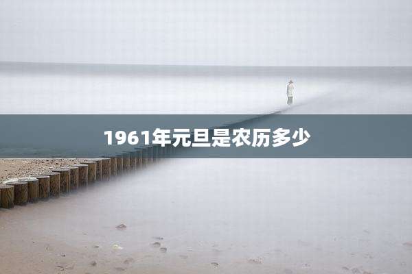 1961年元旦是农历多少
