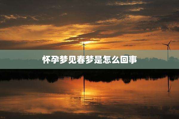 怀孕梦见春梦是怎么回事