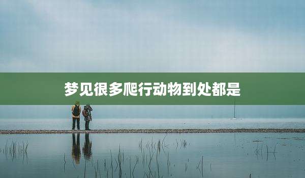 梦见很多爬行动物到处都是