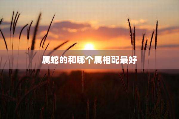 属蛇的和哪个属相配最好