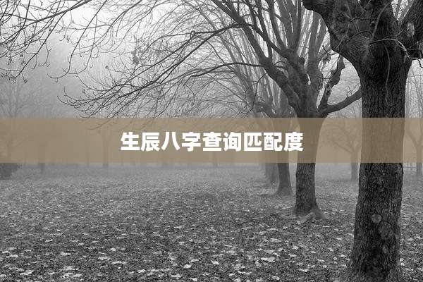 生辰八字查询匹配度
