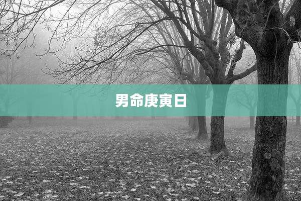 男命庚寅日