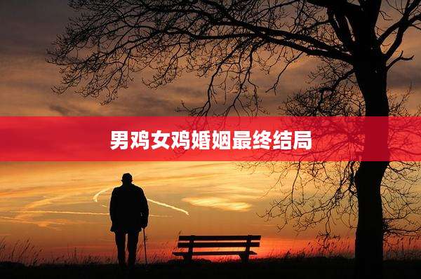 男鸡女鸡婚姻最终结局