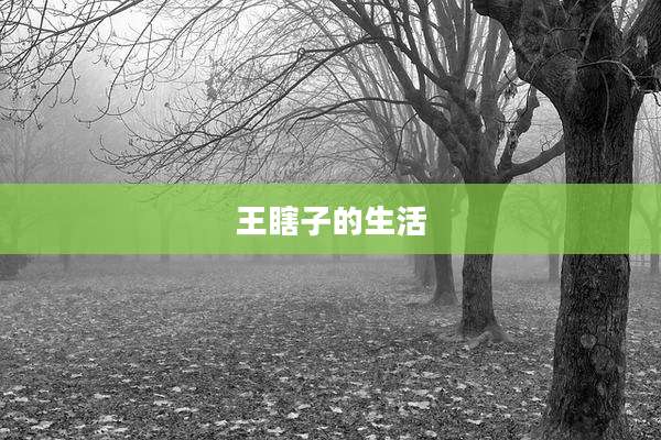 王瞎子的生活