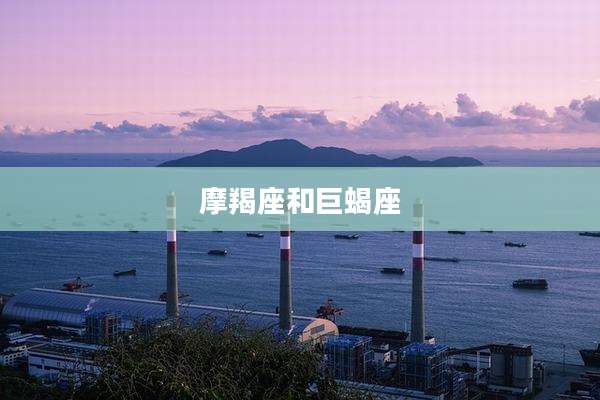 摩羯座和巨蝎座