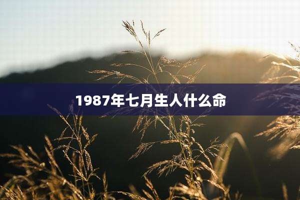 1987年七月生人什么命
