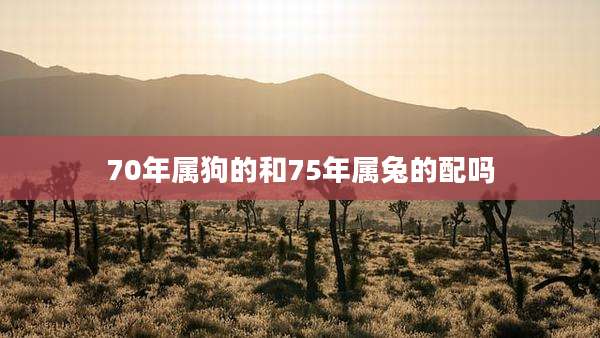 70年属狗的和75年属兔的配吗