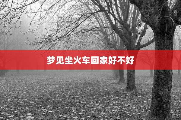 梦见坐火车回家好不好