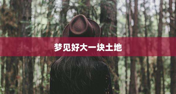 梦见好大一块土地