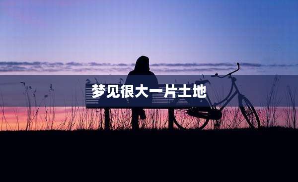 梦见很大一片土地