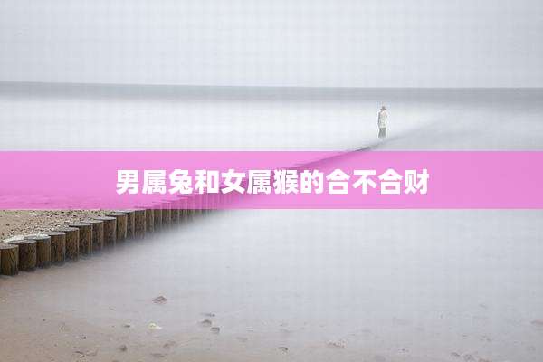男属兔和女属猴的合不合财