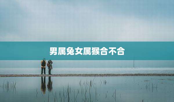 男属兔女属猴合不合
