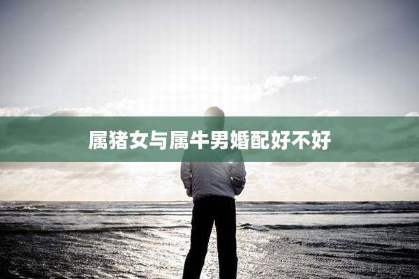 属猪女与属牛男婚配好不好