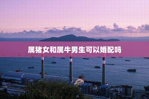 属猪女和属牛男生可以婚配吗
