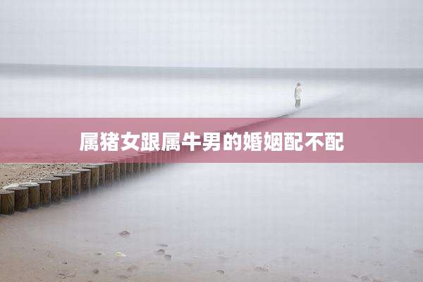 属猪女跟属牛男的婚姻配不配