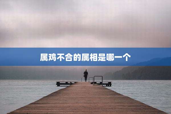 属鸡不合的属相是哪一个