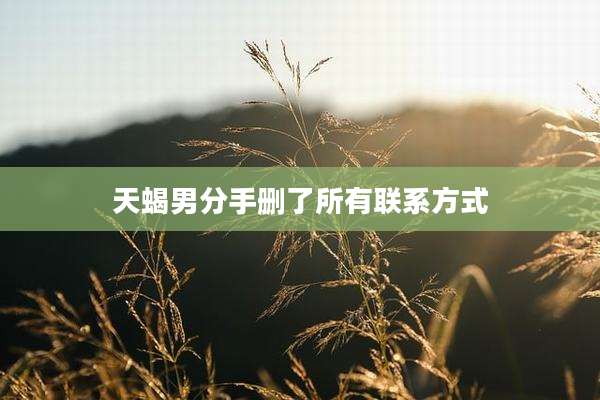 天蝎男分手删了所有联系方式