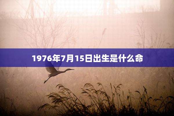 1976年7月15日出生是什么命