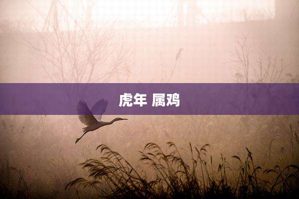 虎年 属鸡
