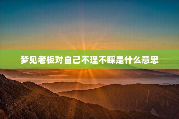 梦见老板对自己不理不睬是什么意思