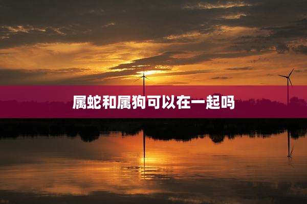 属蛇和属狗可以在一起吗