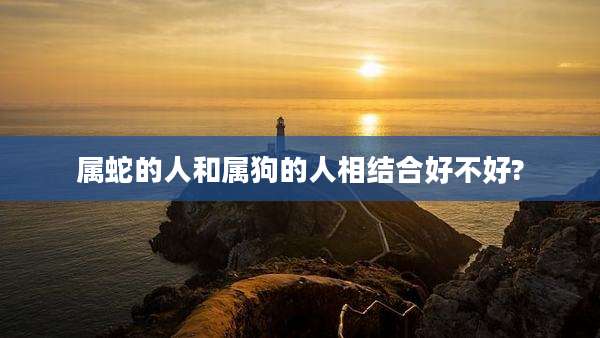 属蛇的人和属狗的人相结合好不好?