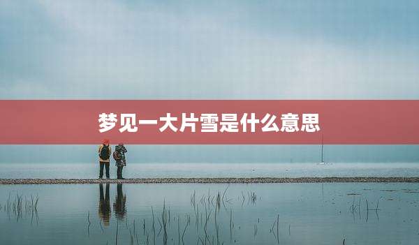 梦见一大片雪是什么意思