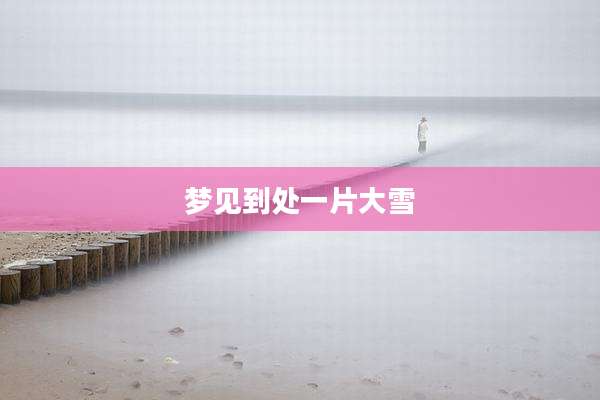梦见到处一片大雪