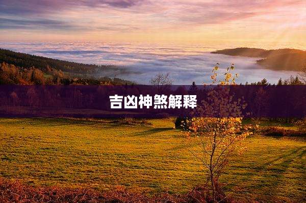 吉凶神煞解释