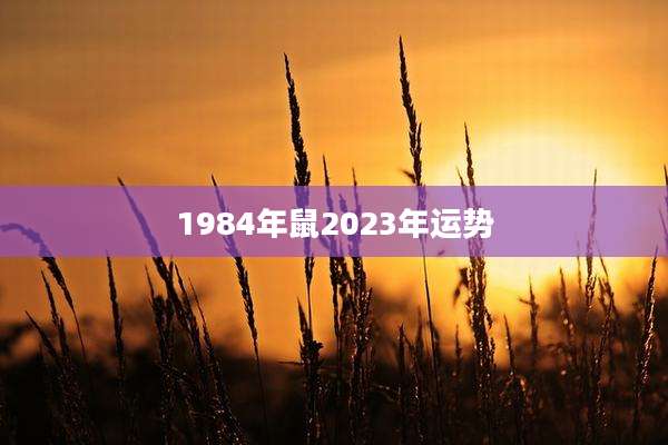 1984年鼠2023年运势