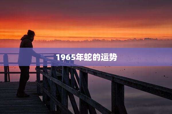 1965年蛇的运势