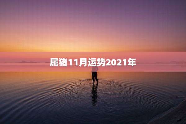 属猪11月运势2021年