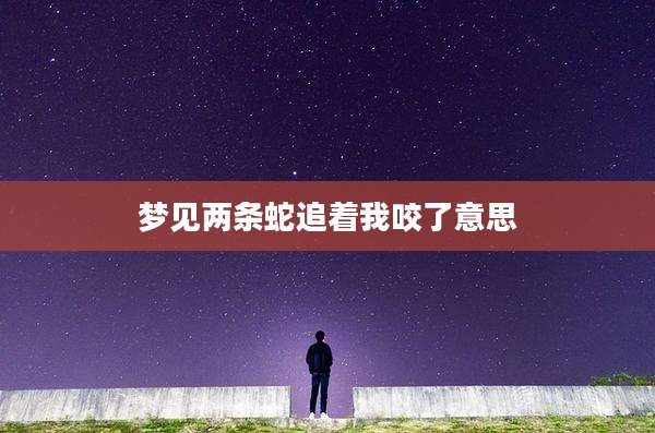 梦见两条蛇追着我咬了意思