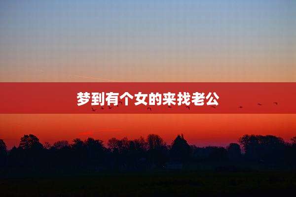 梦到有个女的来找老公