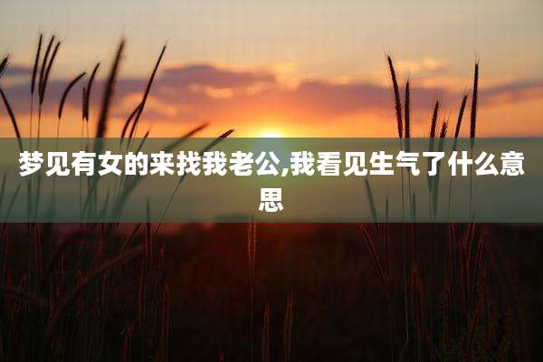梦见有女的来找我老公,我看见生气了什么意思