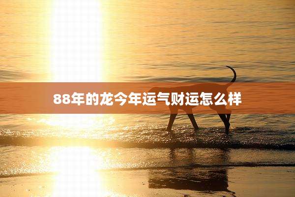 88年的龙今年运气财运怎么样