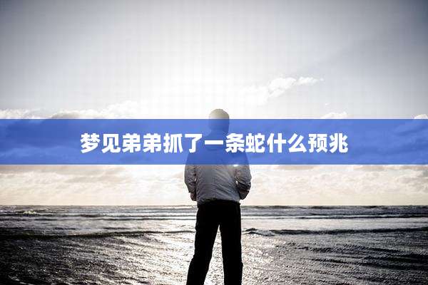 梦见弟弟抓了一条蛇什么预兆