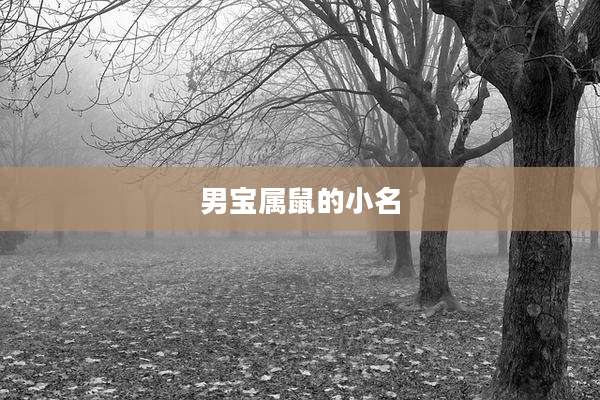男宝属鼠的小名