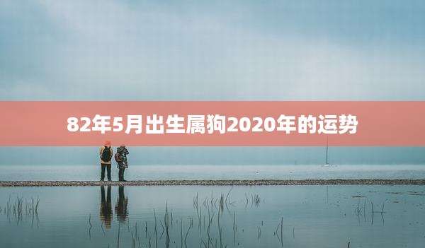 82年5月出生属狗2020年的运势