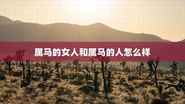 属马的女人和属马的人怎么样