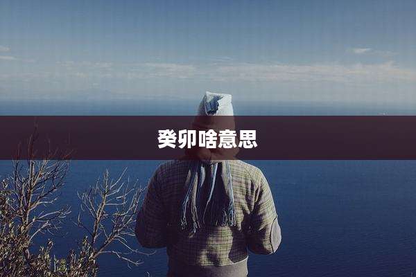 癸卯啥意思