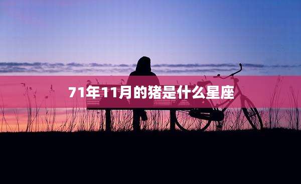 71年11月的猪是什么星座