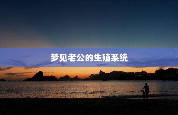 梦见老公的生殖系统