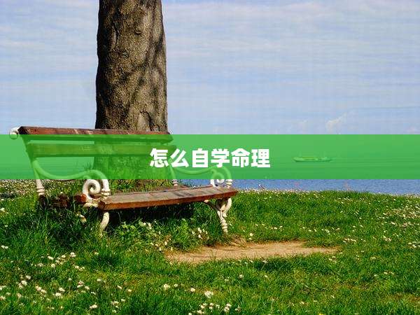 怎么自学命理
