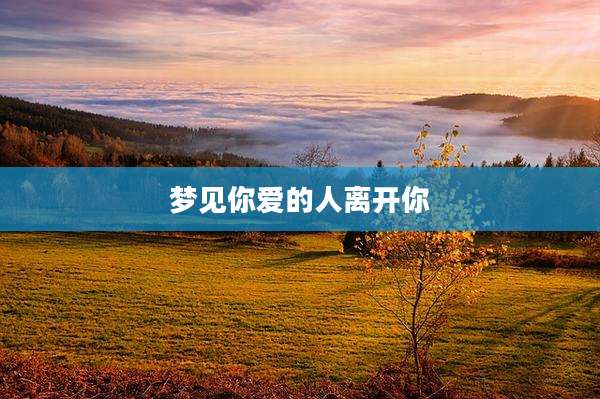 梦见你爱的人离开你