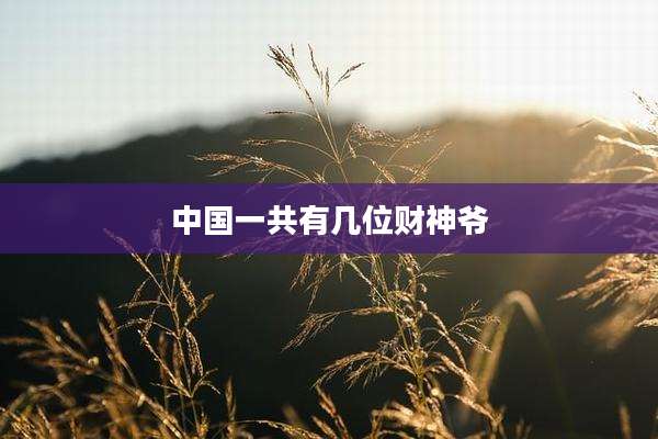中国一共有几位财神爷