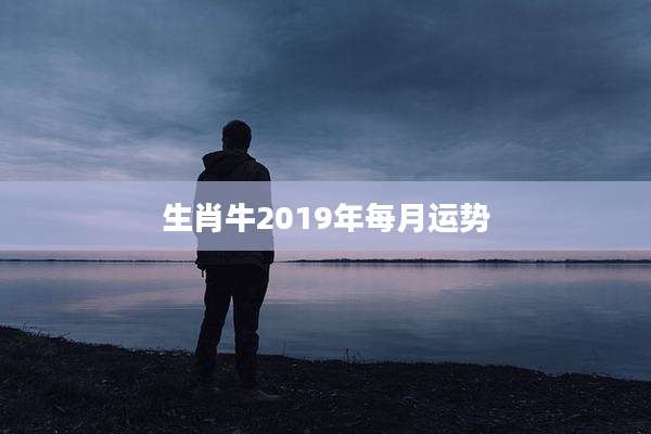 生肖牛2019年每月运势